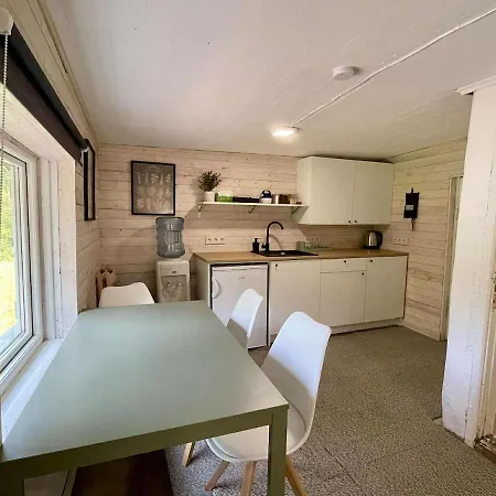 Peaceful Forest In Nature