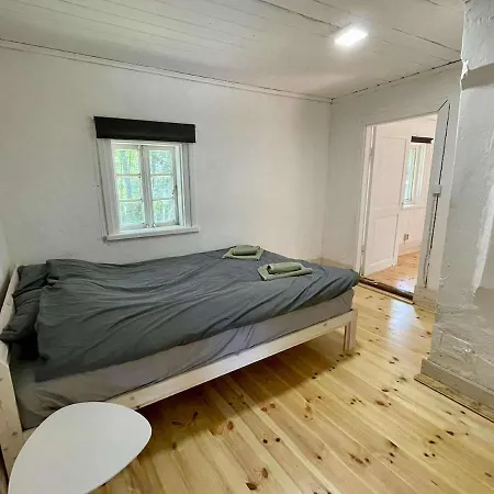 Peaceful Forest In Nature *