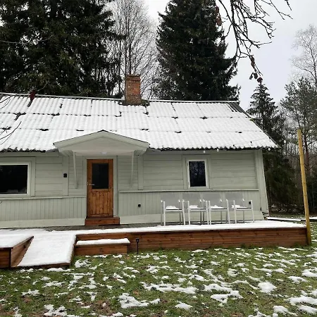 Peaceful Forest In Nature * Palukula (Rapla)