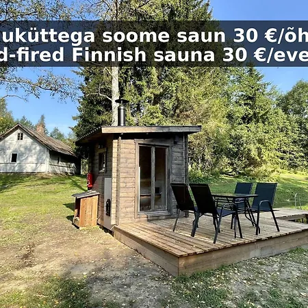 Peaceful Forest In Nature Casa vacanze