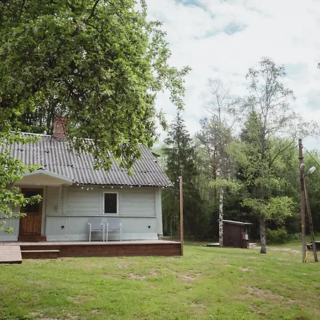 Peaceful Forest In Nature Holiday home