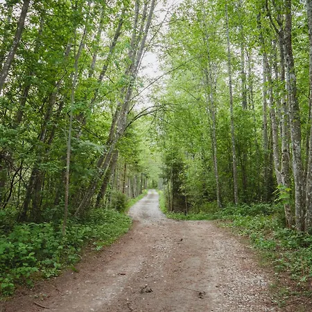 Peaceful Forest In Nature Holiday home *