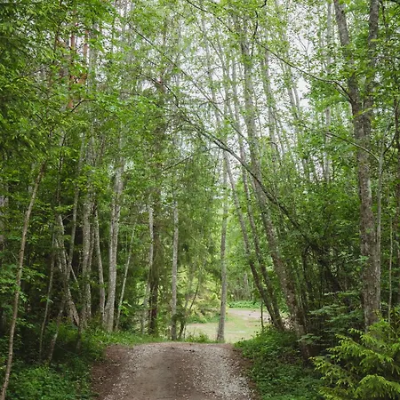 Holiday home Peaceful Forest In Nature Palukula (Rapla)