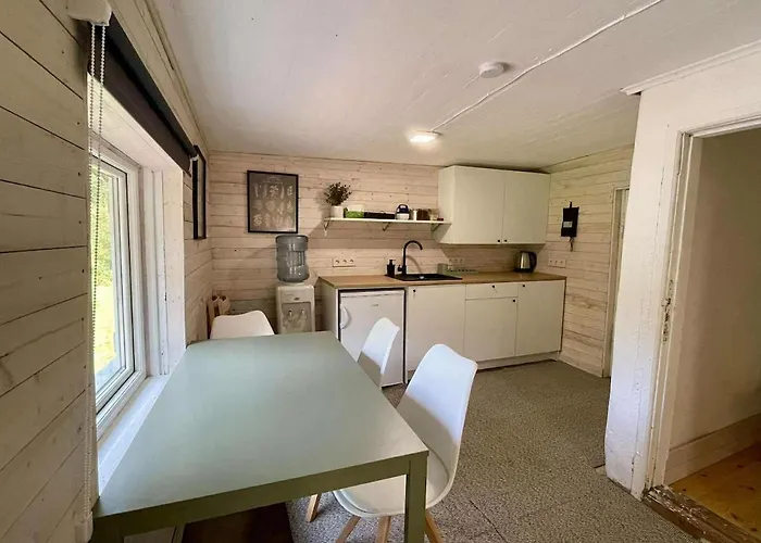 Peaceful Forest In Nature