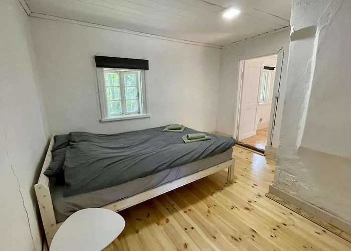 Peaceful Forest In Nature *