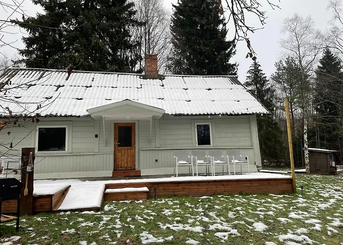 Peaceful Forest In Nature * Palukula (Rapla)