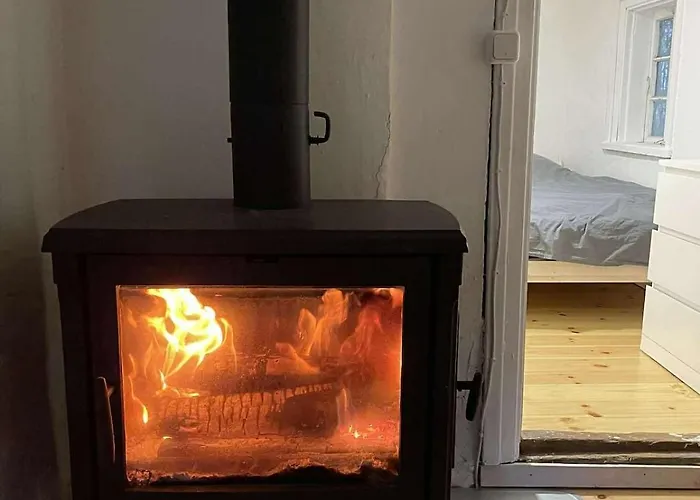 Peaceful Forest In Nature Palukula (Rapla)