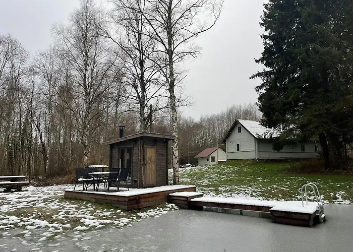Peaceful Forest In Nature Palukula (Rapla)