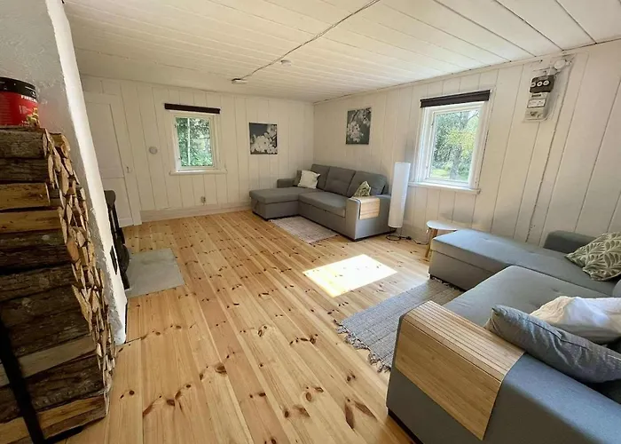 Peaceful Forest In Nature *