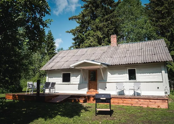 Peaceful Forest In Nature *